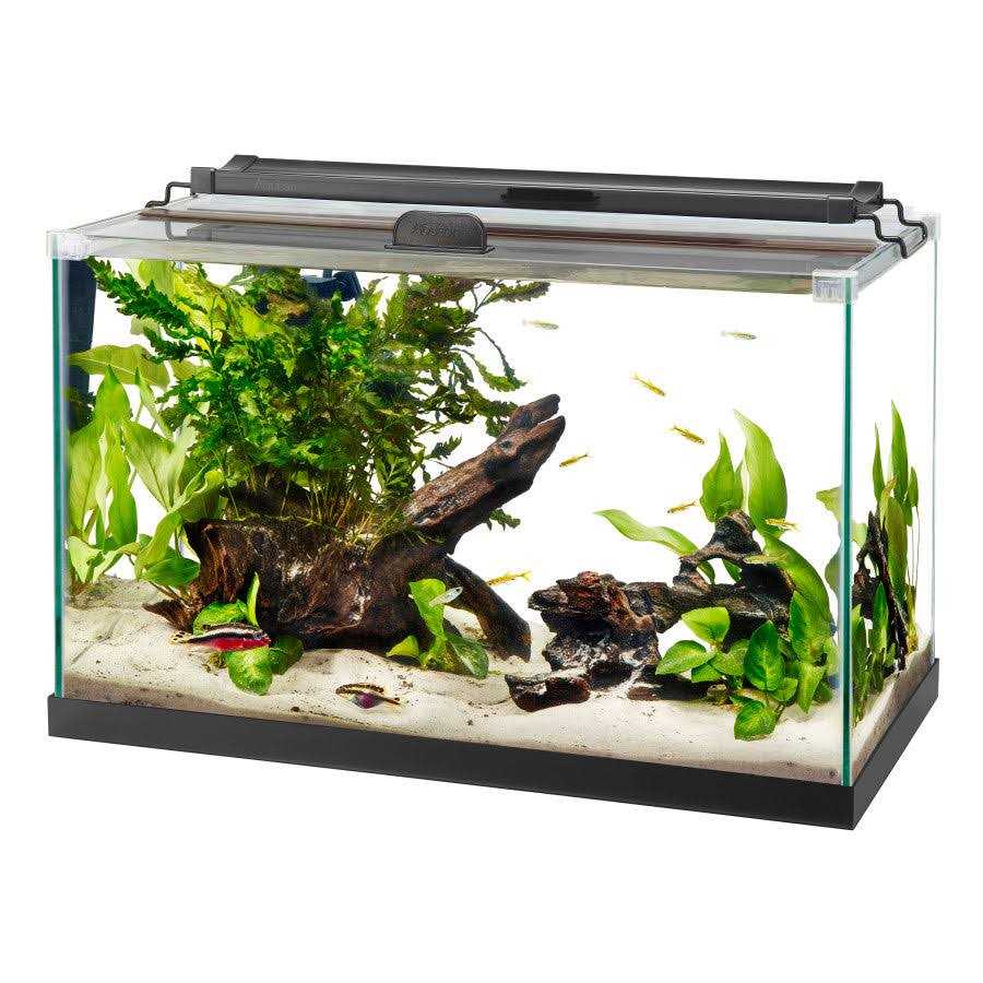 Rimless Rectangle Aquarium C897