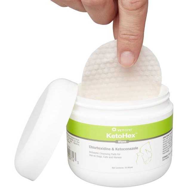 Antiseptic Pet Wipes Y957910