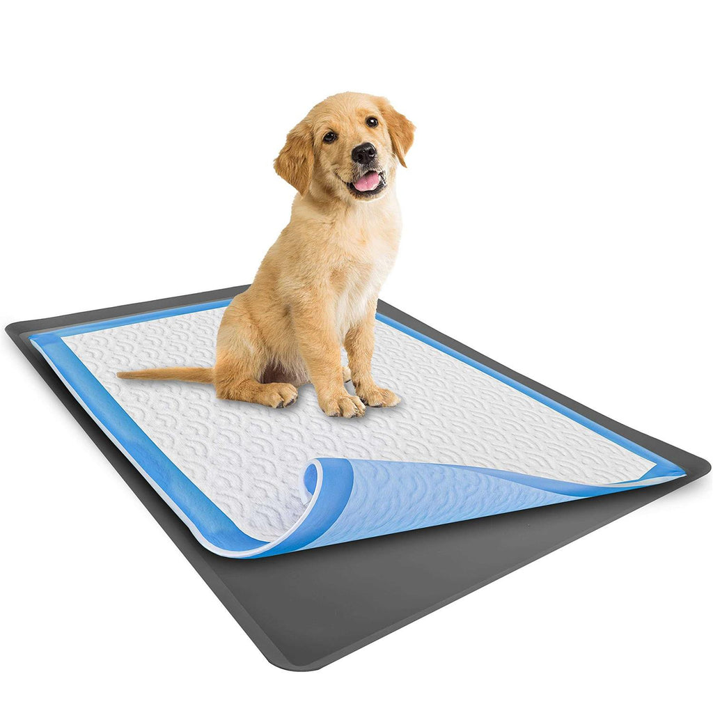Puppy Pad Holder Tray No Spill Q5485