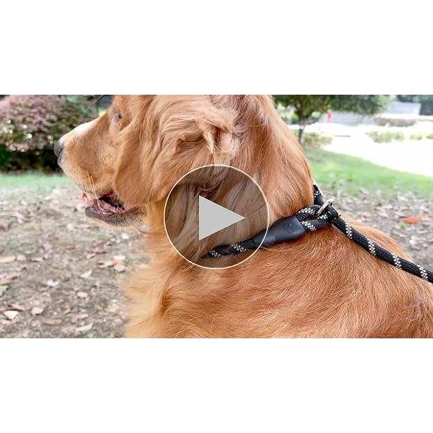 6 FT Reflective Slip Lead Dog Leash with Padded Handle R145158