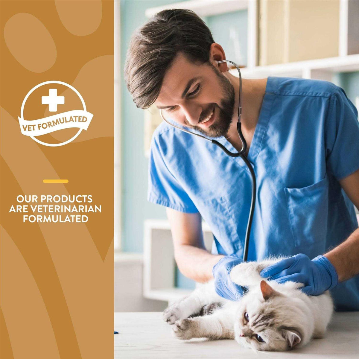 Skin & Coat Plus Omegas for Cats A819598