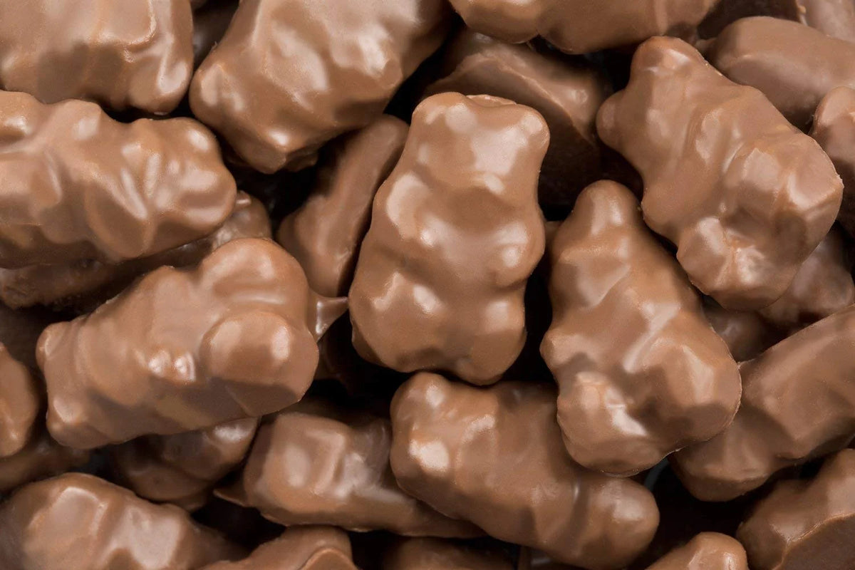2.25 LBS Milk Chocolate Covered Gummi Bears M9137