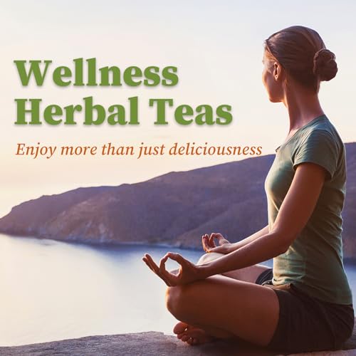 40 Teabags Unsmoked Yerba Mate Tea W6042