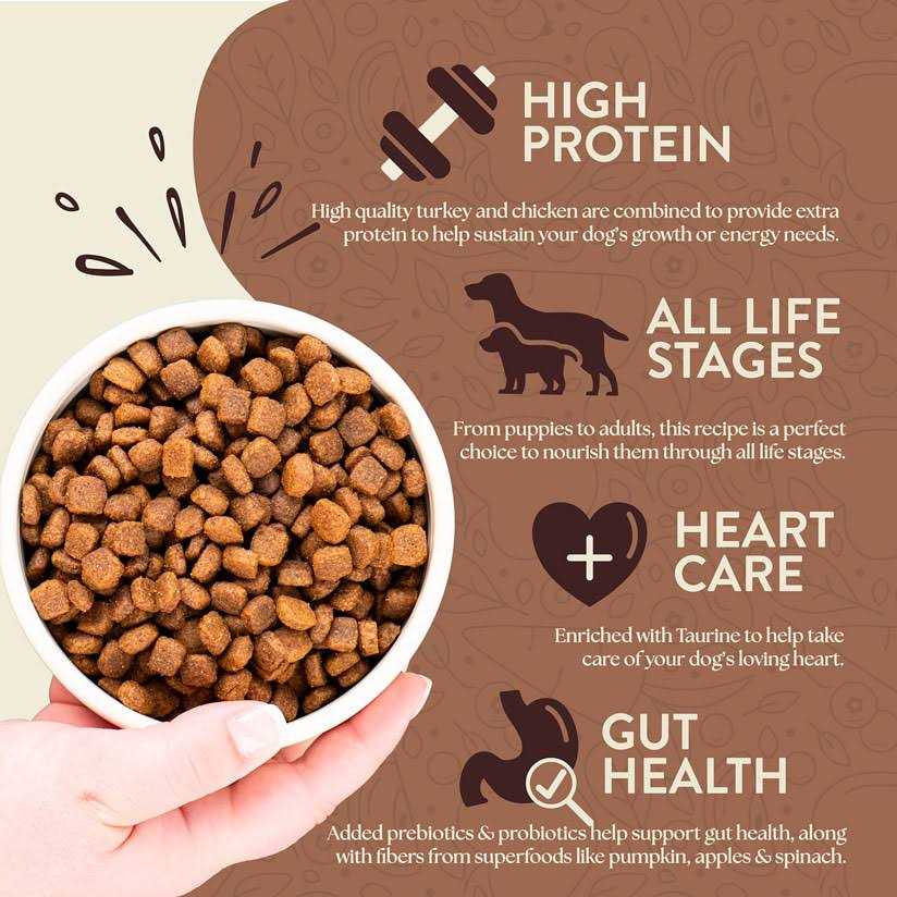 Grain Free Dry Dog Food O91436