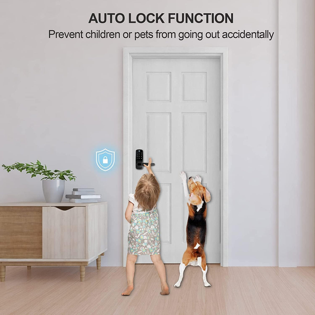 Keyless Entry Smart Door Lock with Keypad, Black S4583