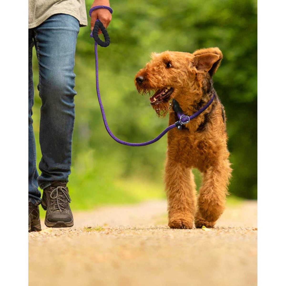 6 FT Reflective Slip Lead Dog Leash with Padded Handle R145158
