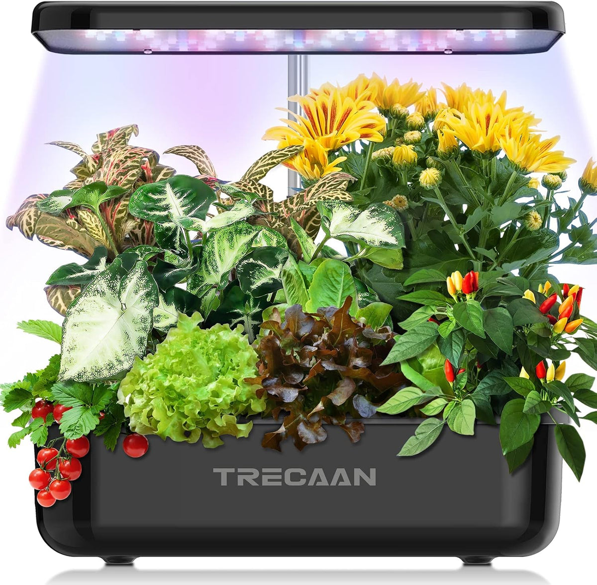 15 Pods Hydroponic Growing System Black K844121