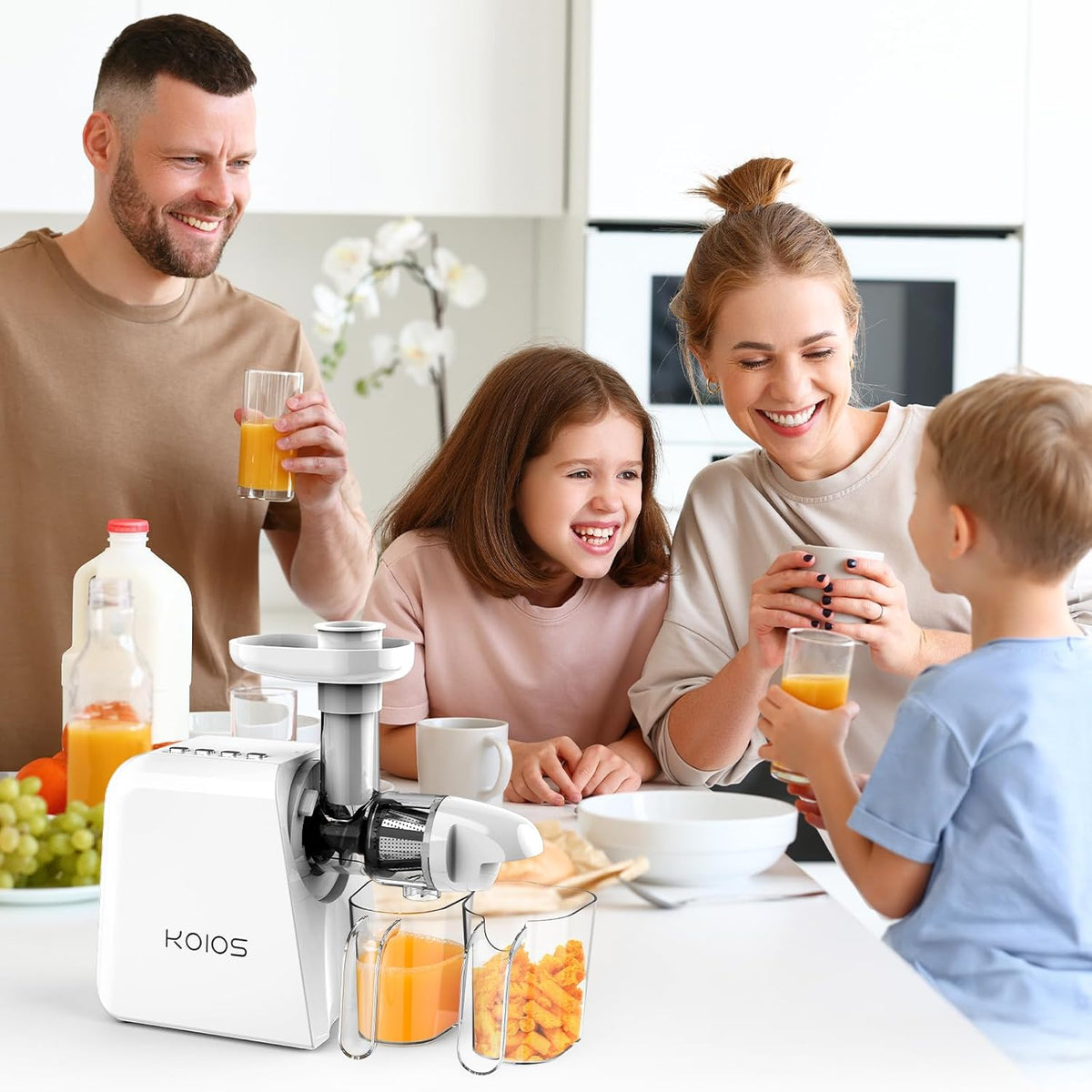 Cold Press Masticating Juicer with Two Speed Modes Y261