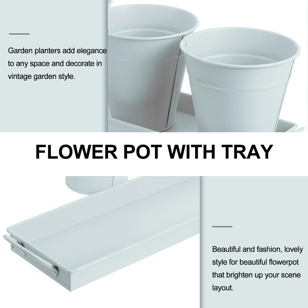 6 pcs Garden Flower Pot with 1pc Tray Y129