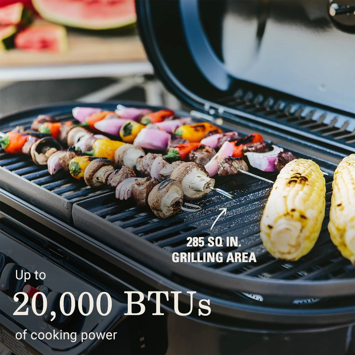 Standup Propane Gas Grill Z35639