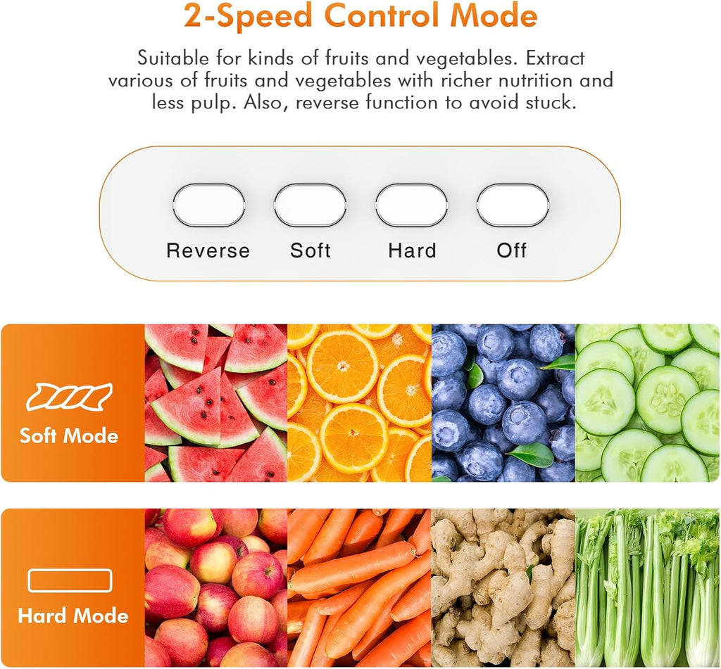 Cold Press Masticating Juicer with Two Speed Modes Y261