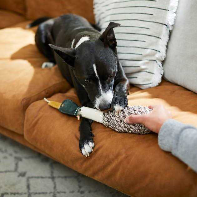 Rope Duck Crinkle Dog Toy N37348