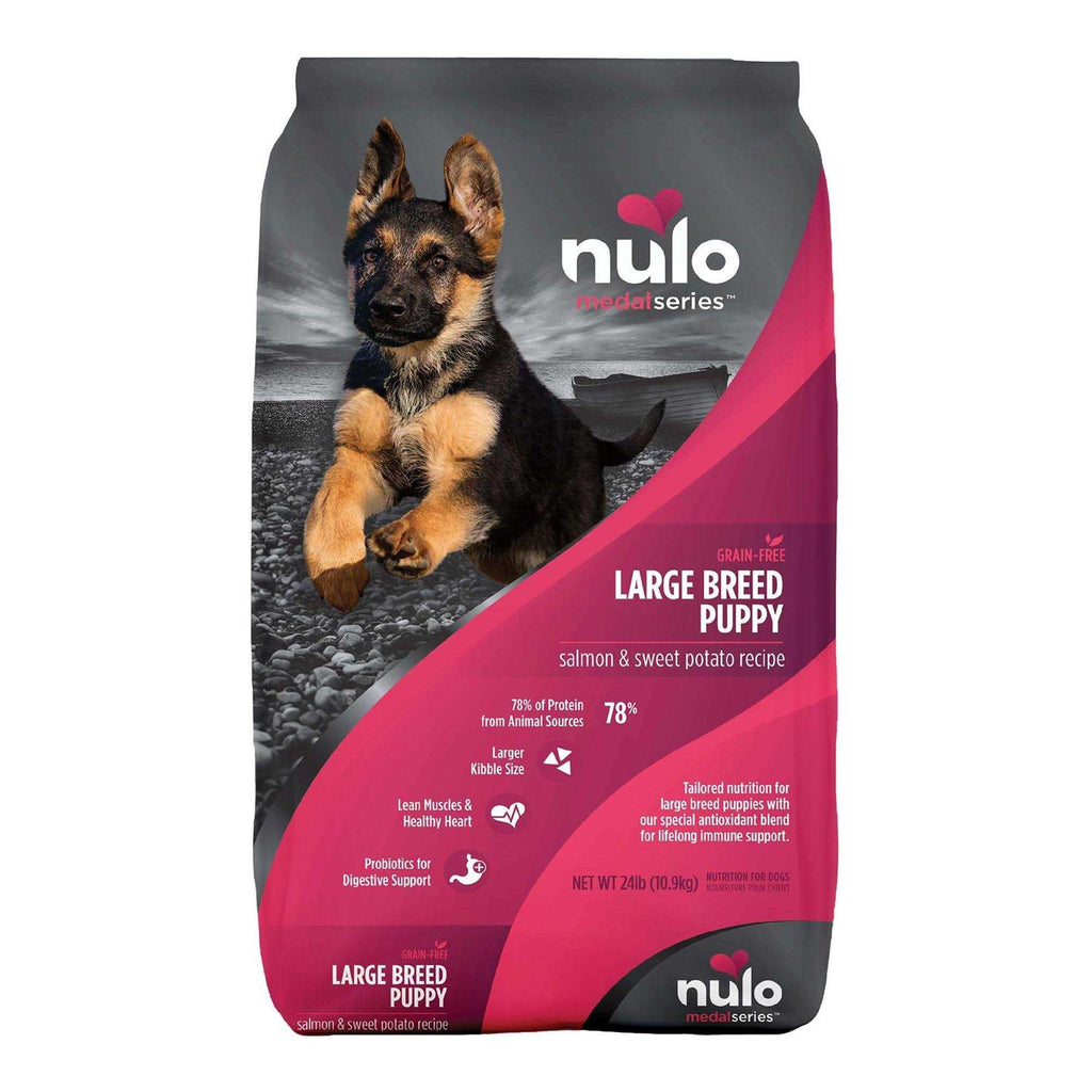 Salmon Large Breed Puppy Dry Dog Food X91025