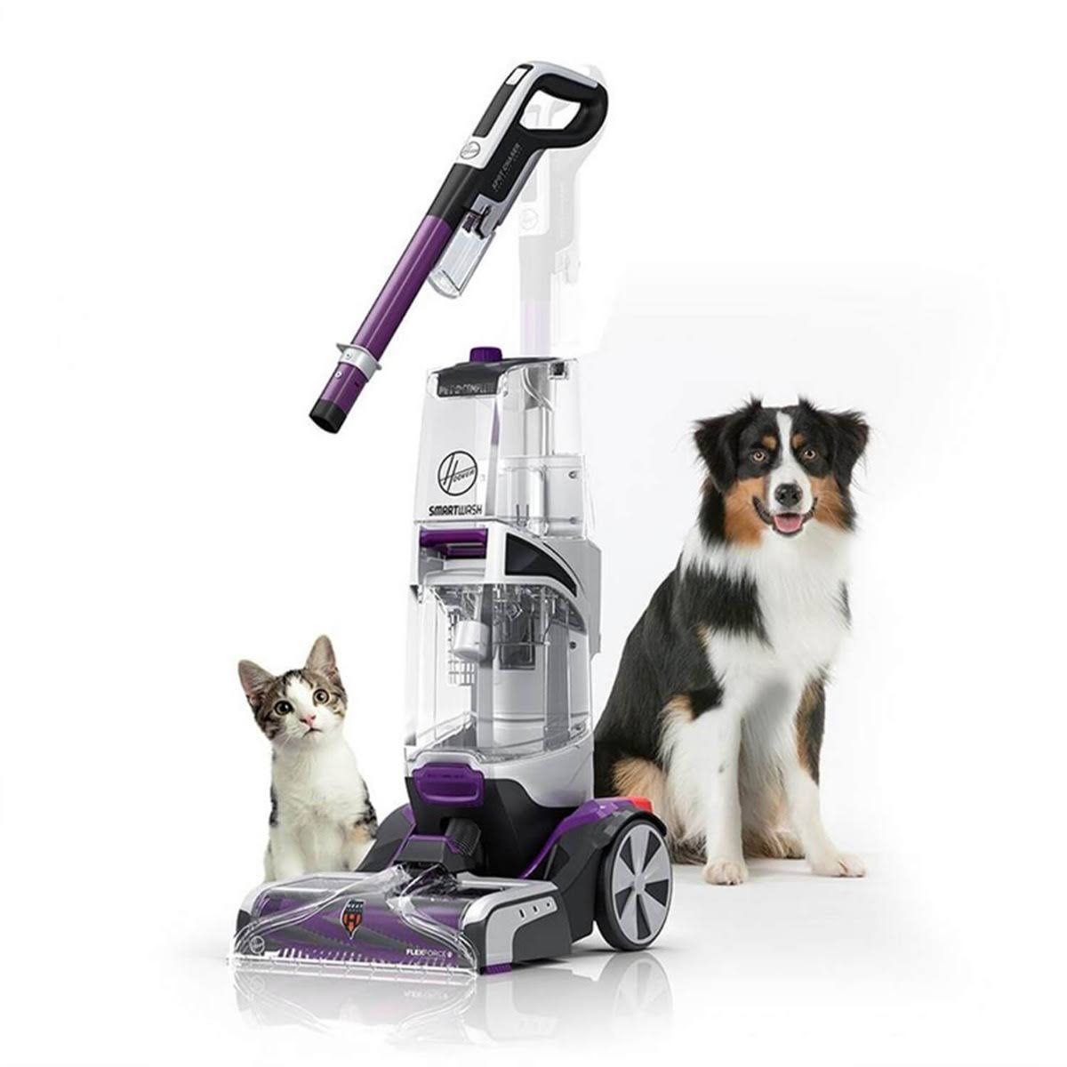 Purple Automatic Carpet Cleaner X19119