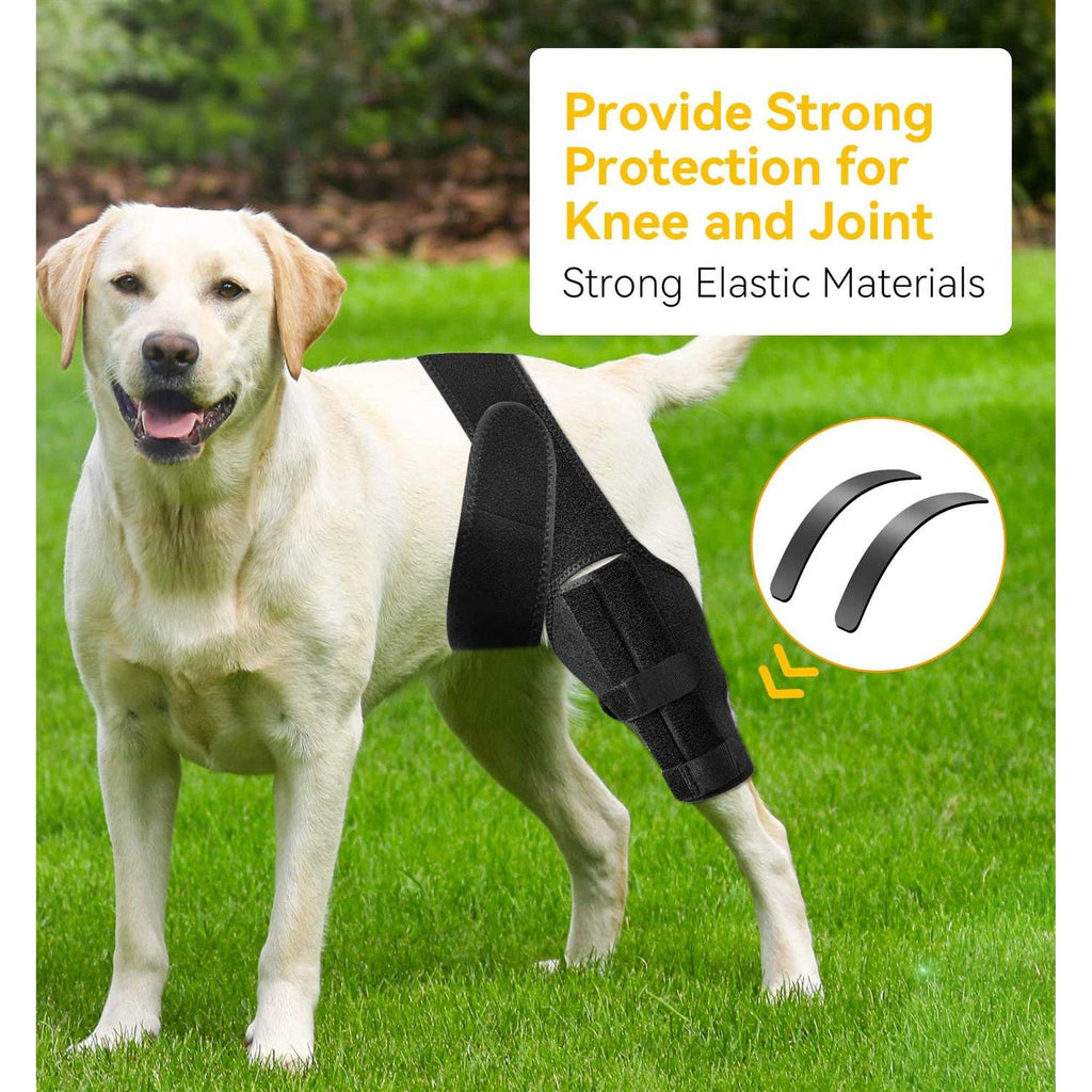 Dog Knee Brace with Cruciate Ligament I726