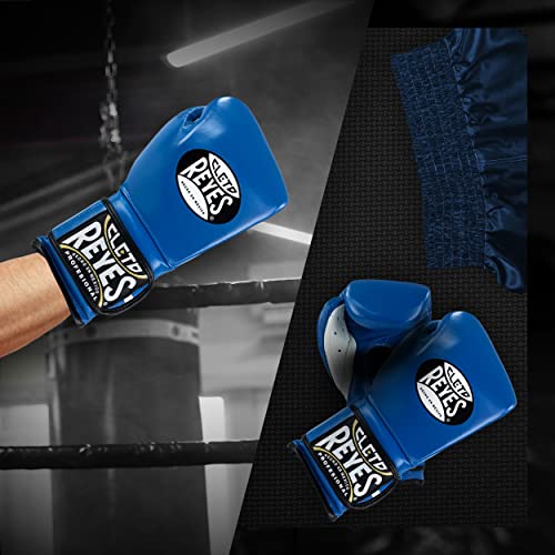 Training Boxing Gloves with Hook and Loop Closure L1980