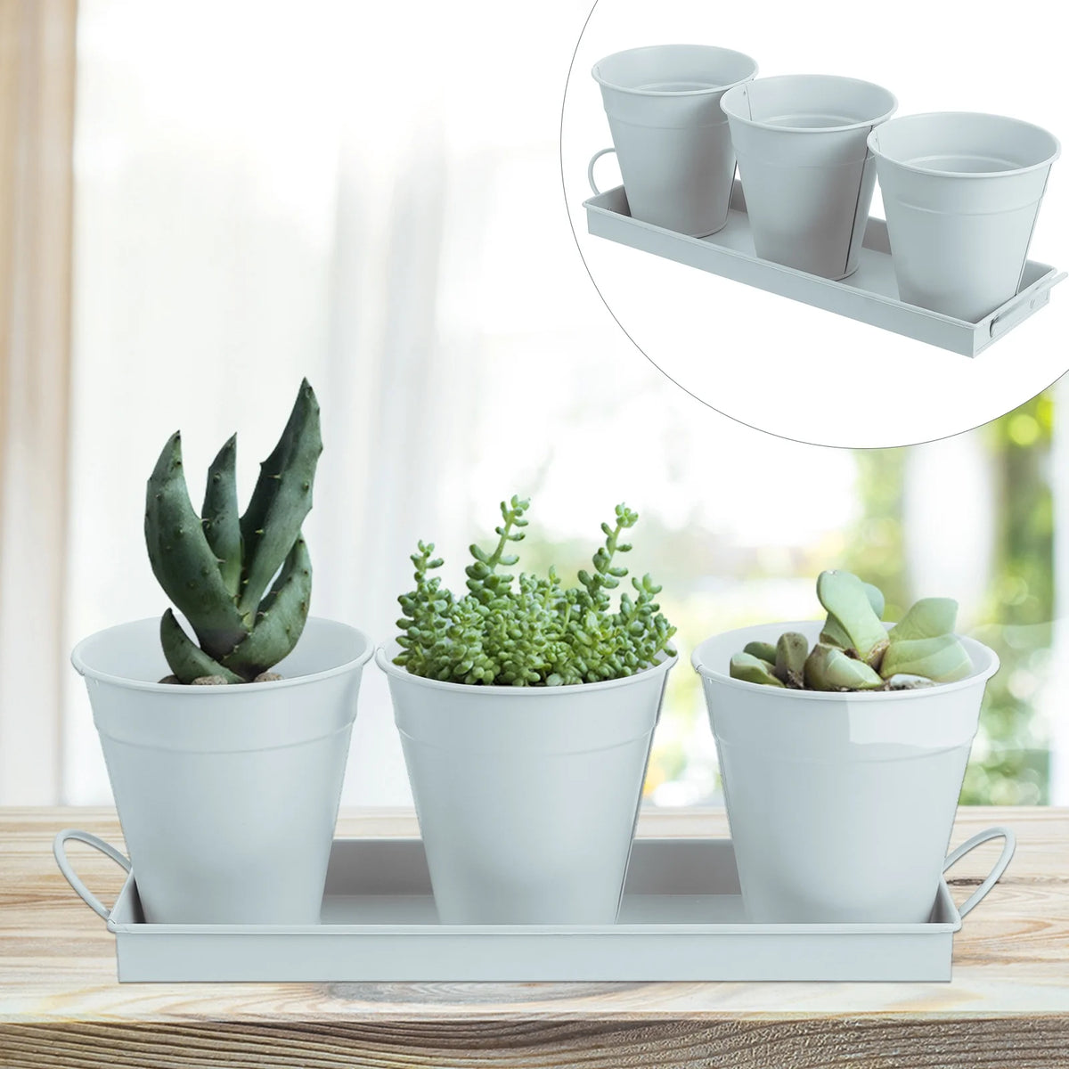6 pcs Garden Flower Pot with 1pc Tray Y129