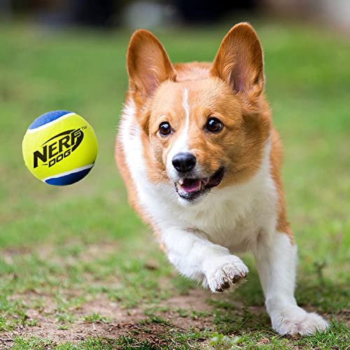 2.5 Inch Three Pack Dog Toy Tennis Ball with Squeaker R393