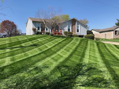 50lbs Tall Fescue Grass Seed Q3254