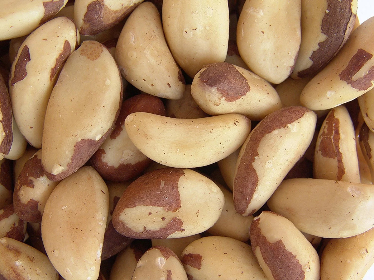 One pound Brazil Nuts F3076