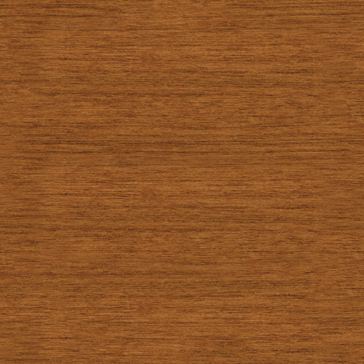 Storage Cabinet with Doors O4352