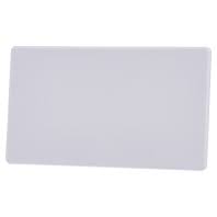 End Cap for Wireway 110x60mm Y860
