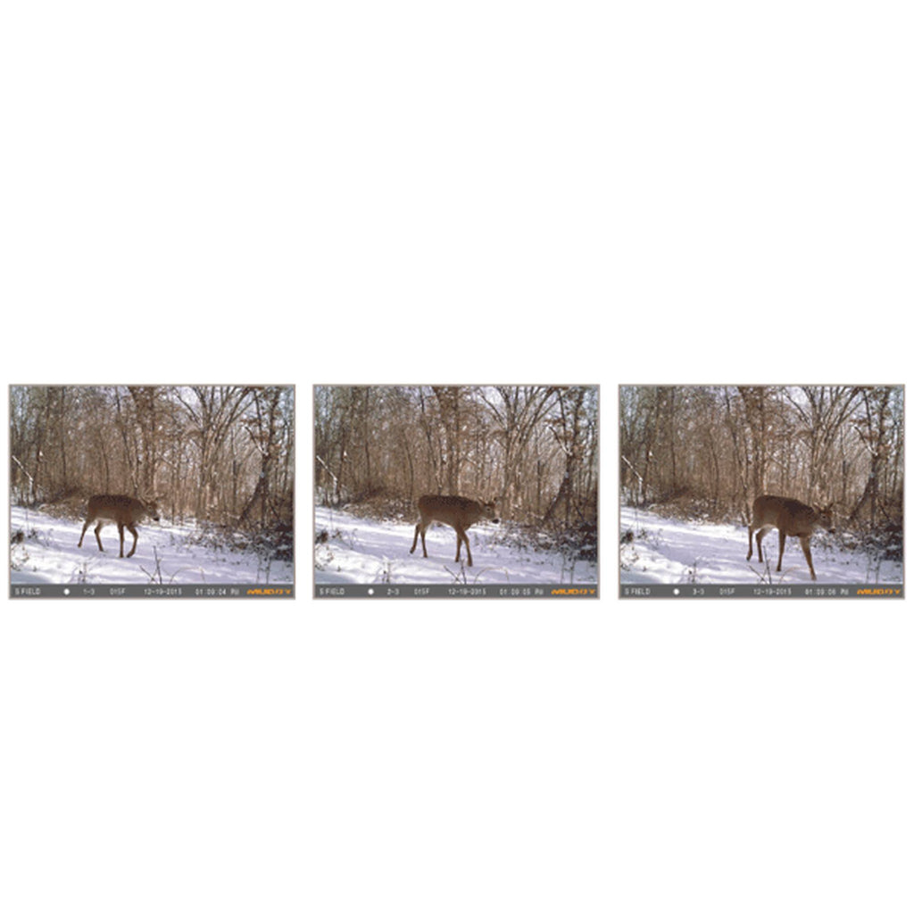 Trail Camera H217783