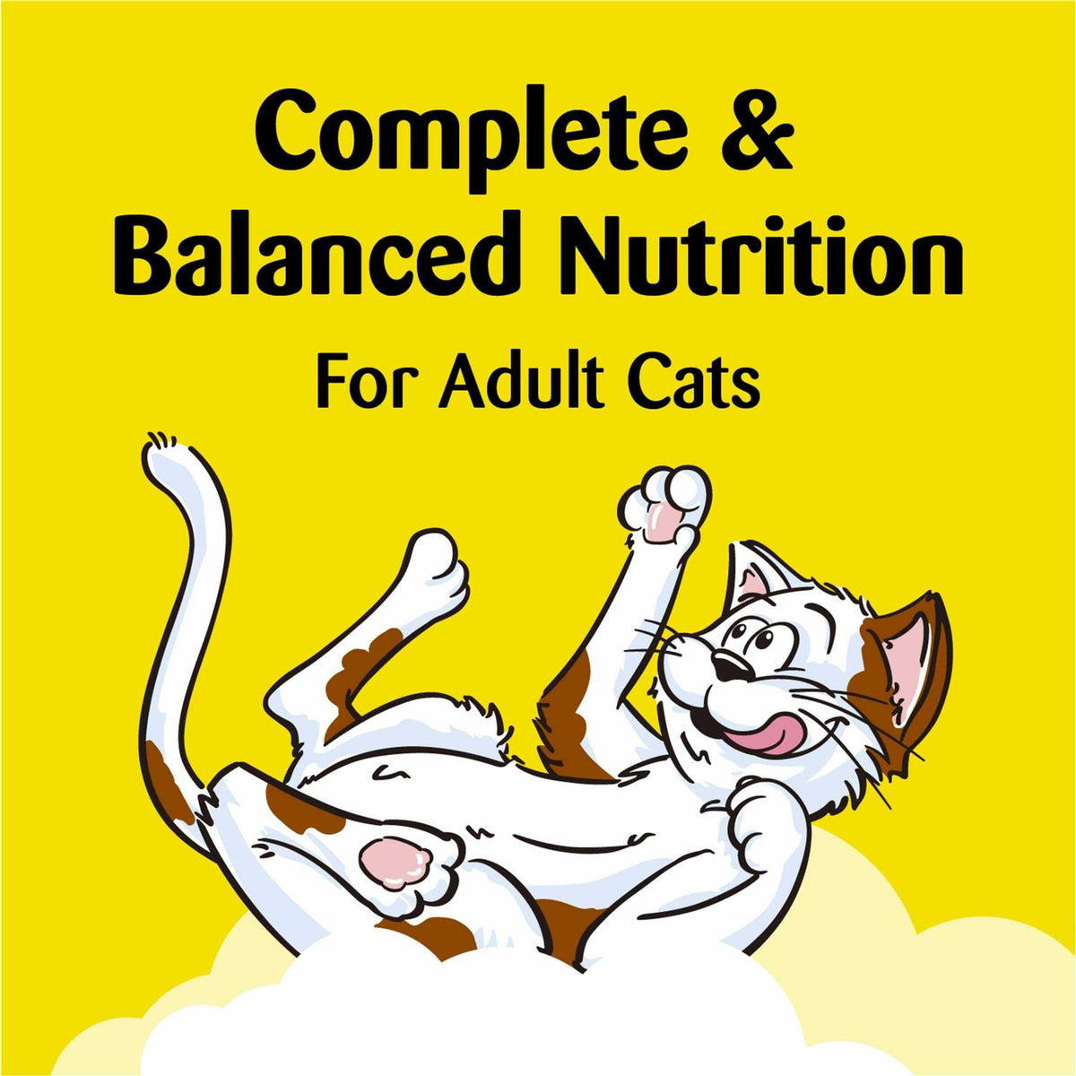 Crunchy and Soft Cat Treats M371