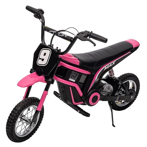 24V 350W Electric Dirt Bike T117