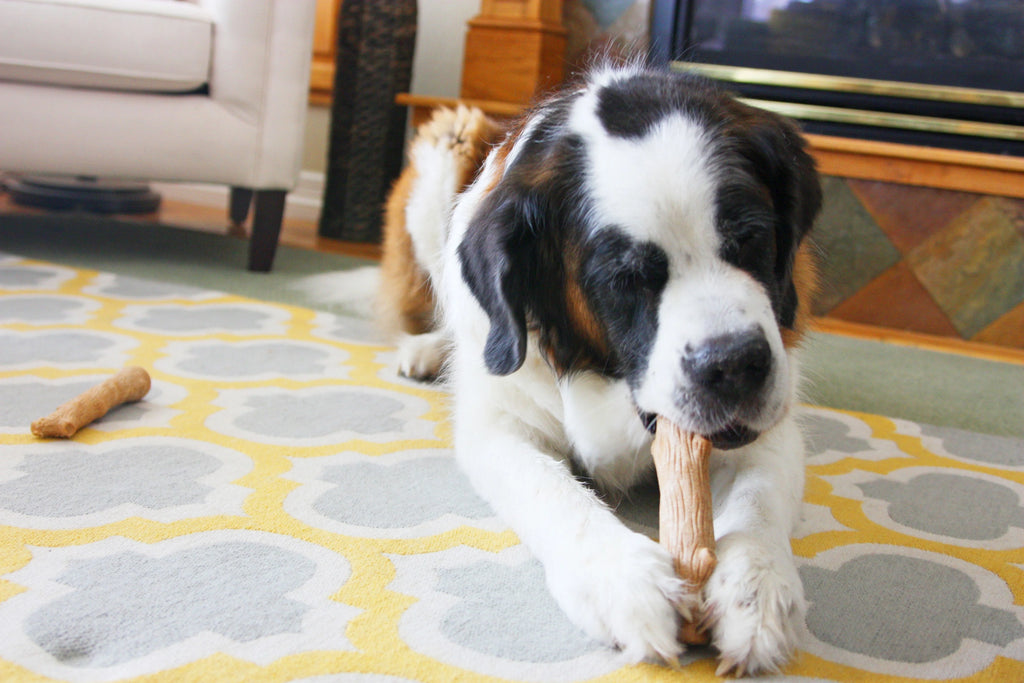 Brown Small Dog Chew Toy Z44358