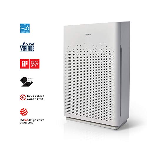 Air Purifier with True HEPA Carbon Filter and Auto Mode X454425