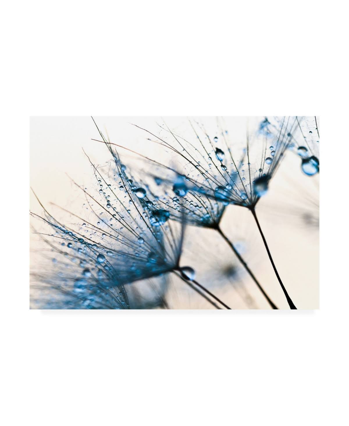 Mystic Blue Canvas Art Y47842