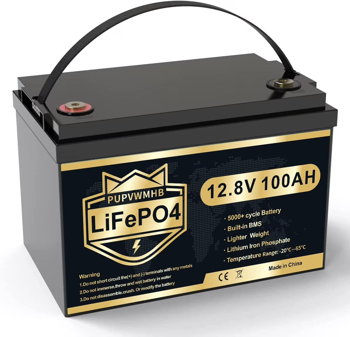 LiFePO4 Battery 12V 100Ah Lithium Iron Phosphate Battery with Built-in BMS O949980