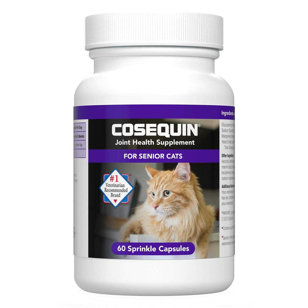 Joint Health Supplement for Senior Cats B20402