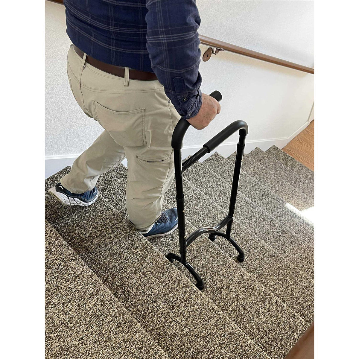 Stair Assist Cane O524389