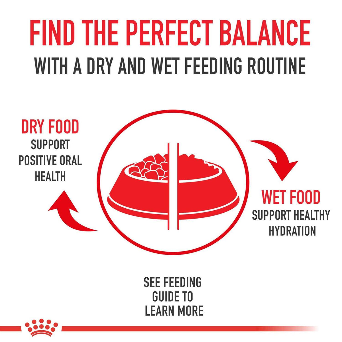 Adult Dry Dog Food Y4988