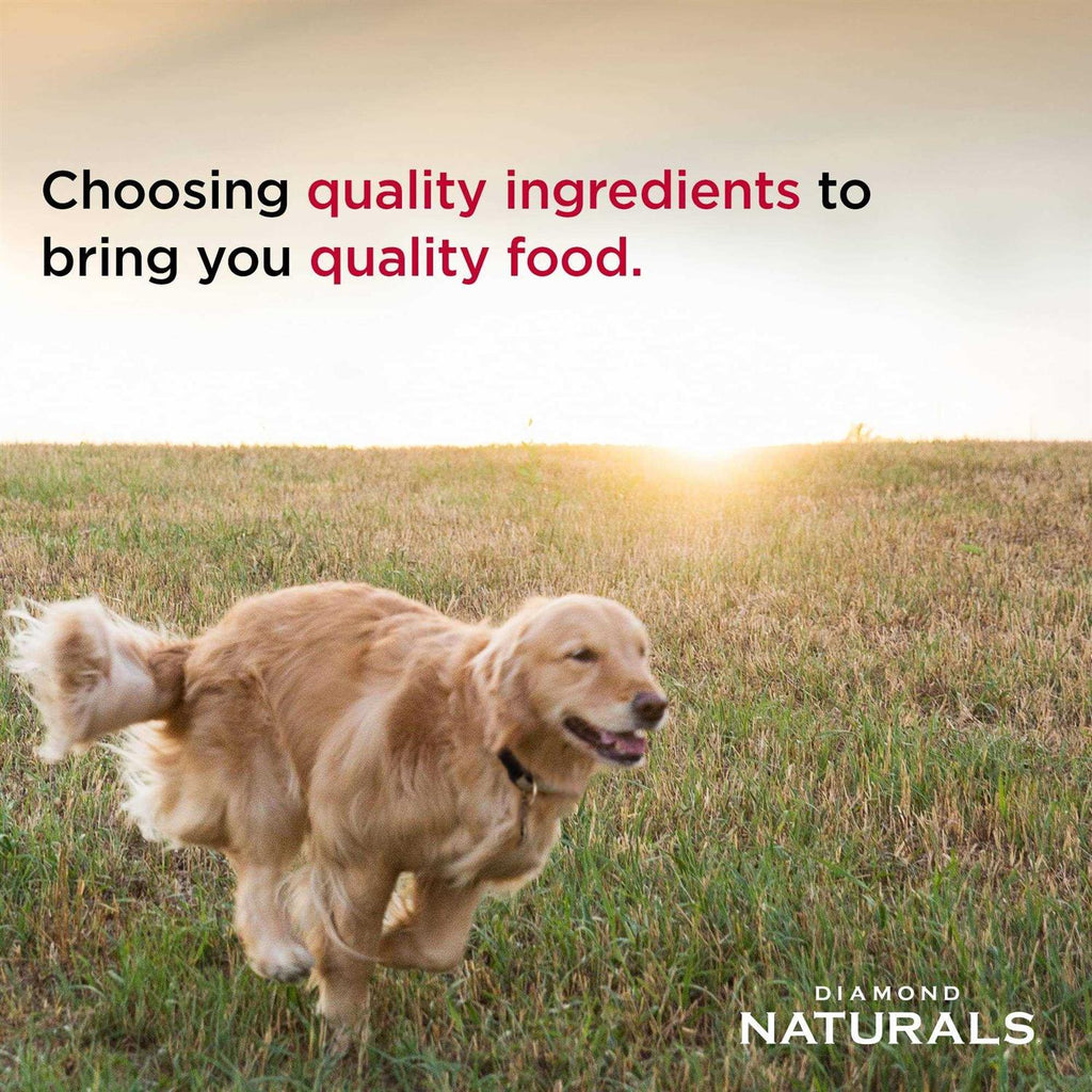 Light Lamb Meal & Rice Dry Dog Food W913