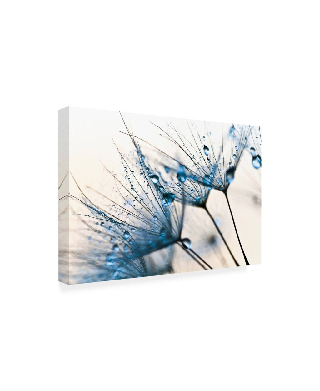 Mystic Blue Canvas Art Y47842