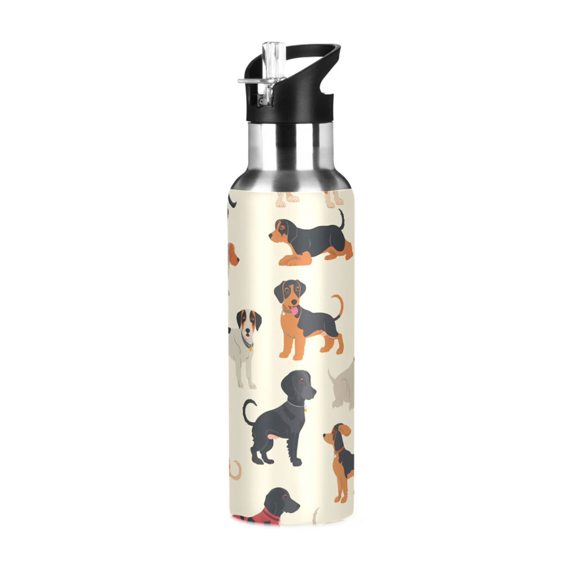 Insulated Stainless Steel Water Bottle with Straw Lid, 20 oz W350