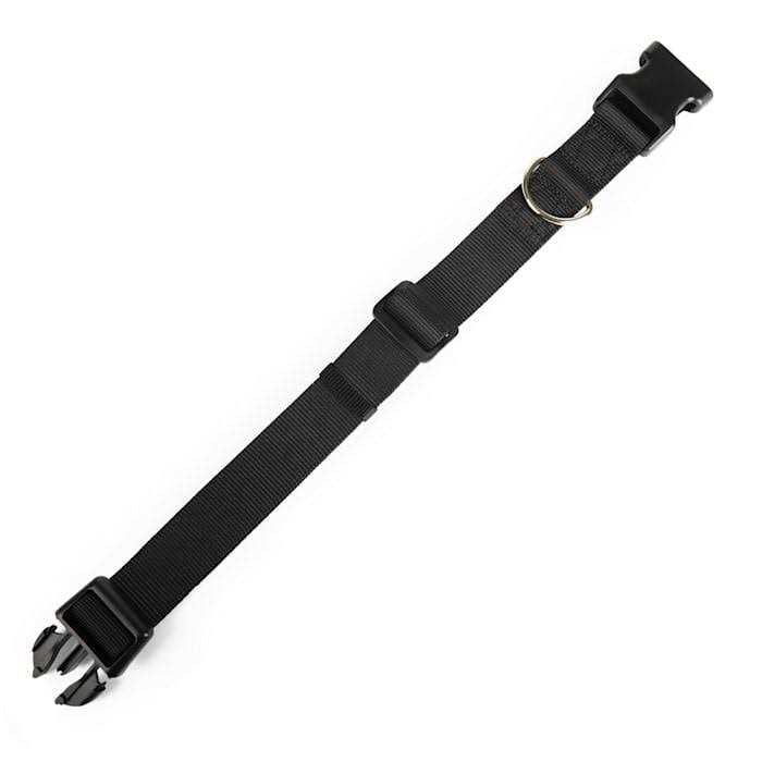 Adjustable Dog Collar I83018