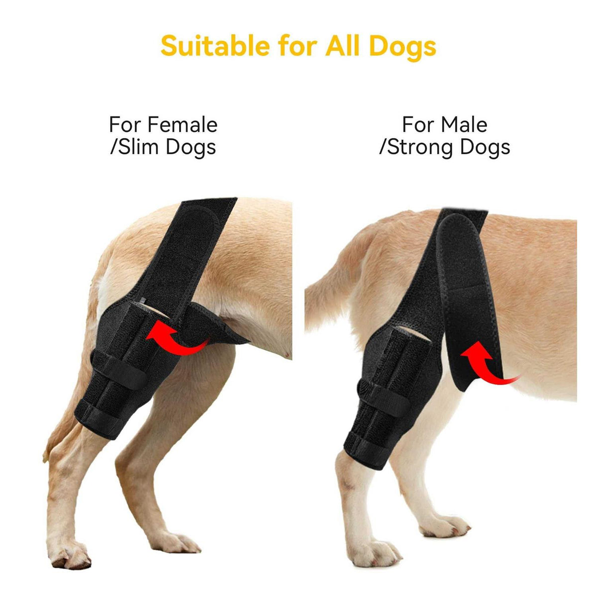 Dog Knee Brace with Cruciate Ligament I726