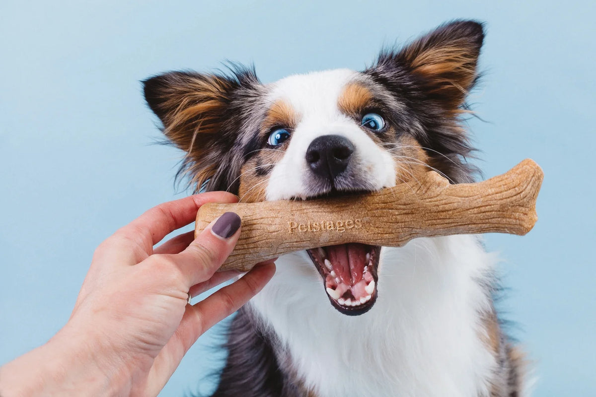 Brown Small Dog Chew Toy Z44358