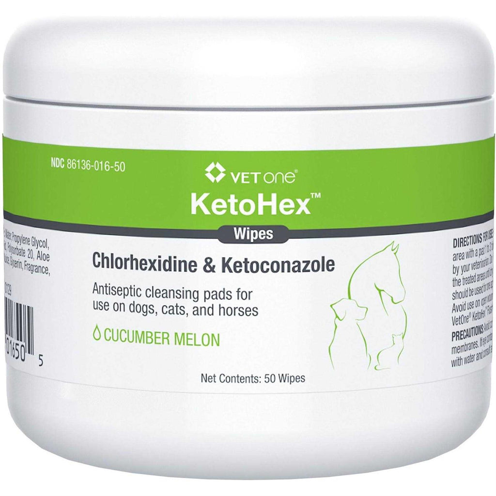 Antiseptic Pet Wipes Y957910
