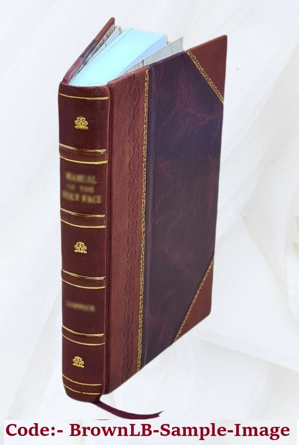 Leather Bound Book K22127