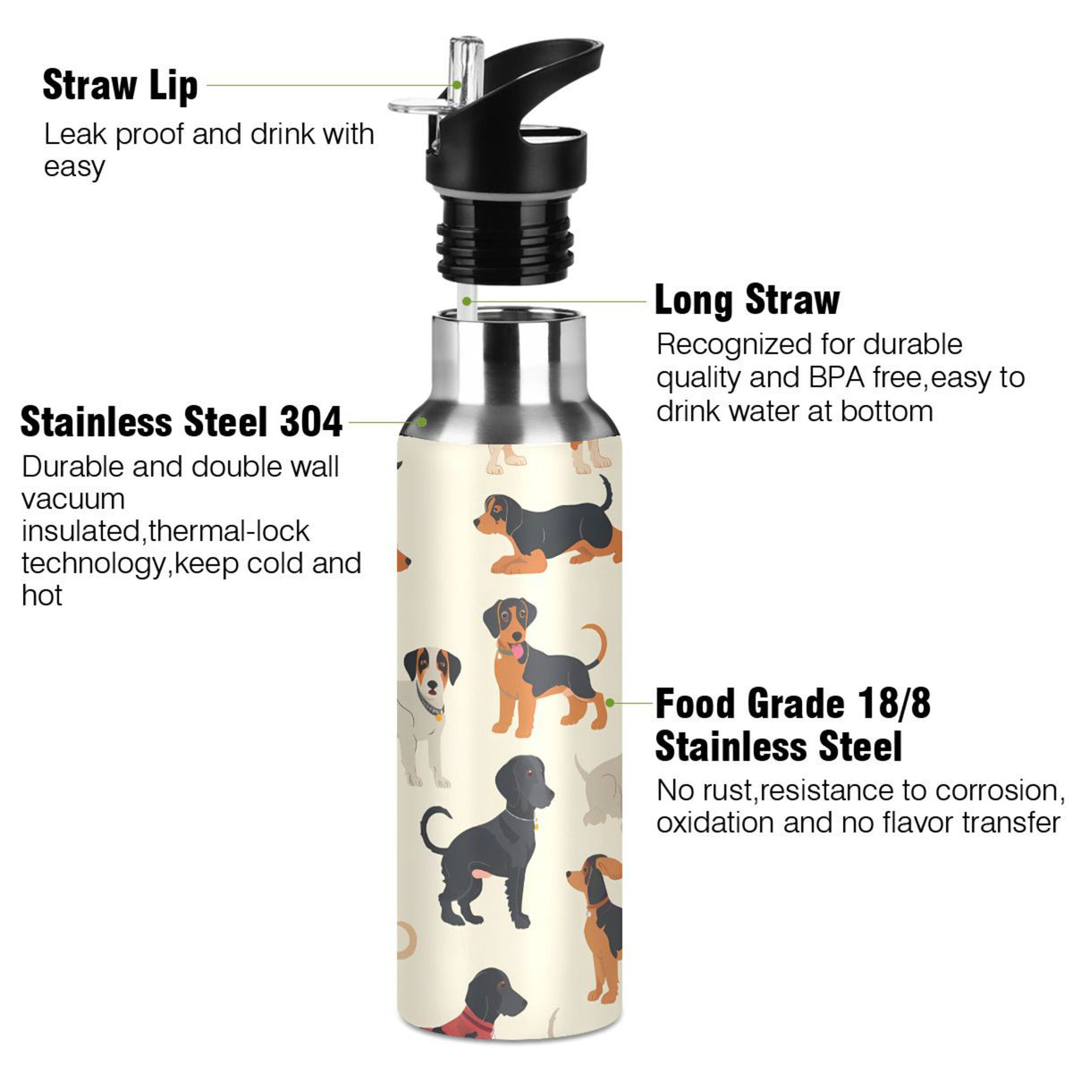 Insulated Stainless Steel Water Bottle with Straw Lid, 20 oz W350