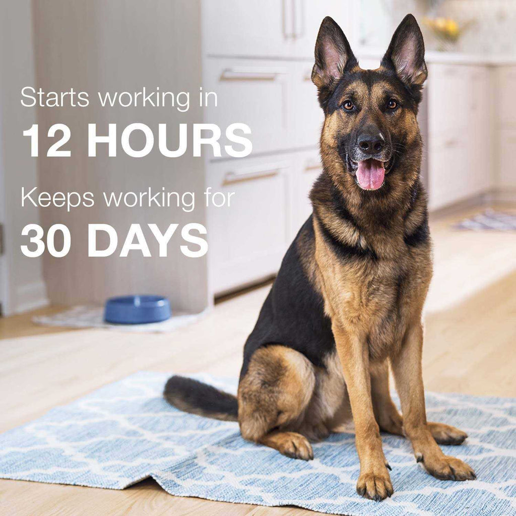 Advantage II for Dogs 3 K650472