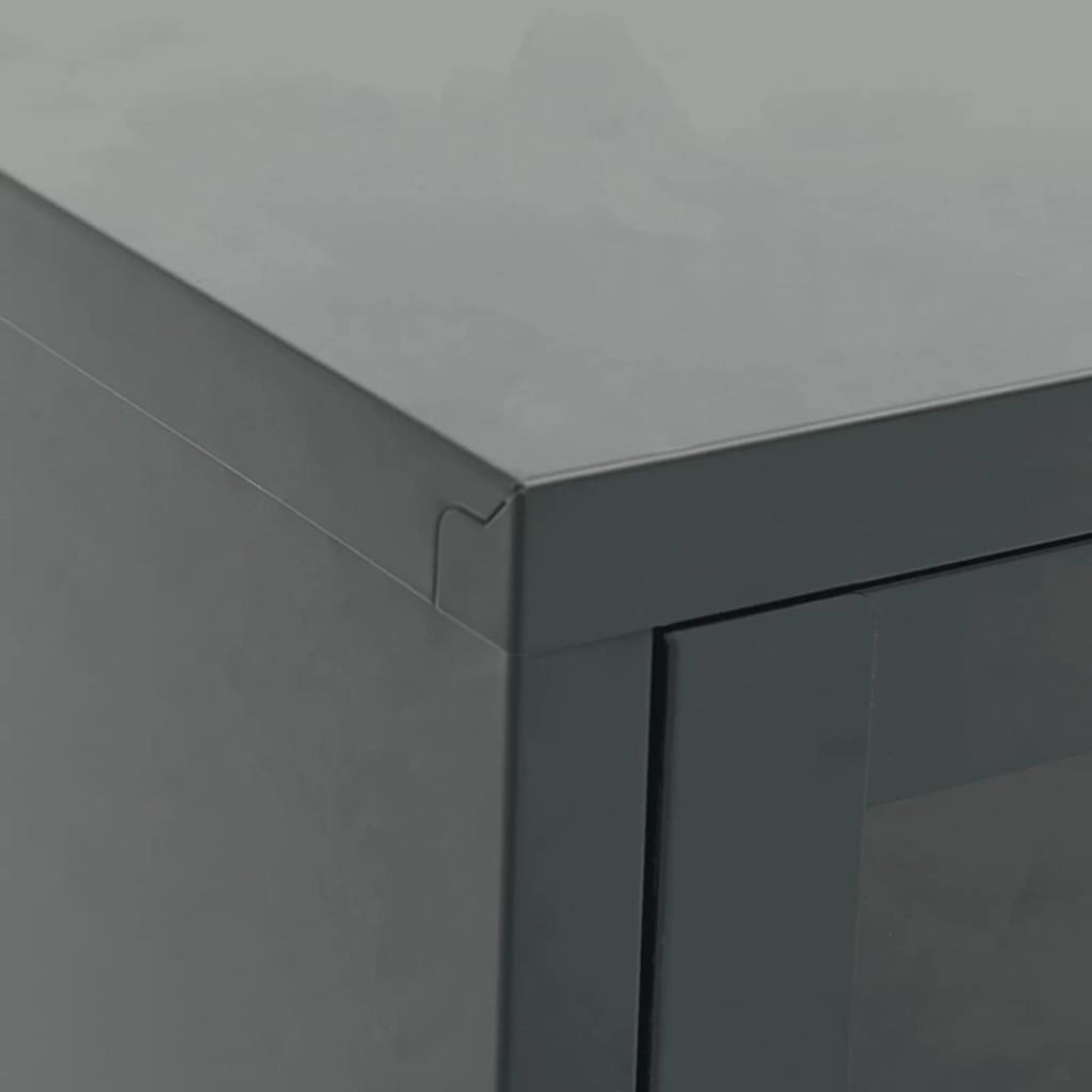 TV Stand with 2 Glass Doors and Open Shelves Steel Cabinet X963913