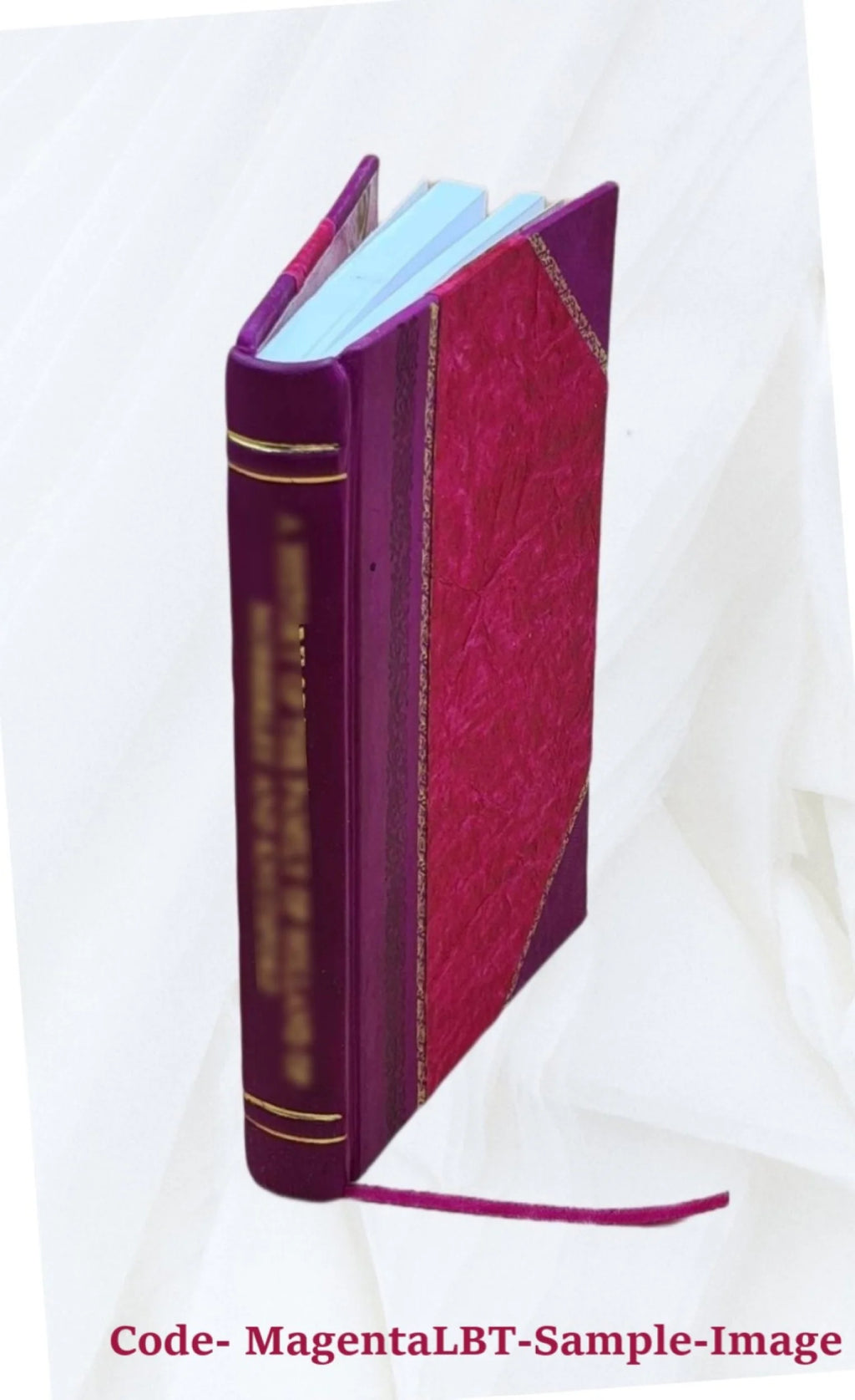 Romanzo storico Leather Bound N1489