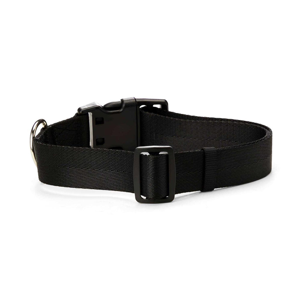 Adjustable Dog Collar I83018