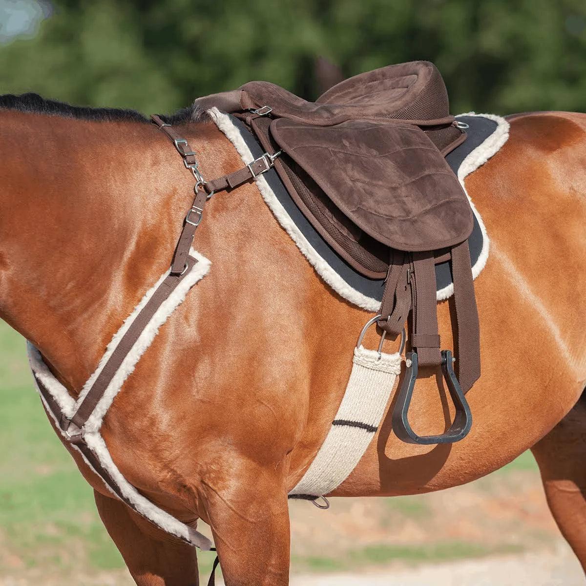 Cashel Brown Soft Saddle G2 F93463